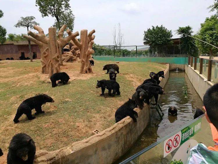 【沁爽一"夏"】广西"张家界"北帝山 雄森动物大世界,水上乐园汽车纯玩