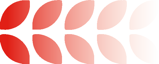 最新《中文核心期刊要目总览》发布,《花城》位列中