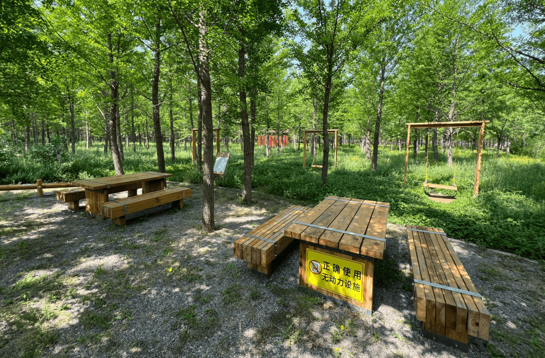 河东这个大型公园开放了?记者探访