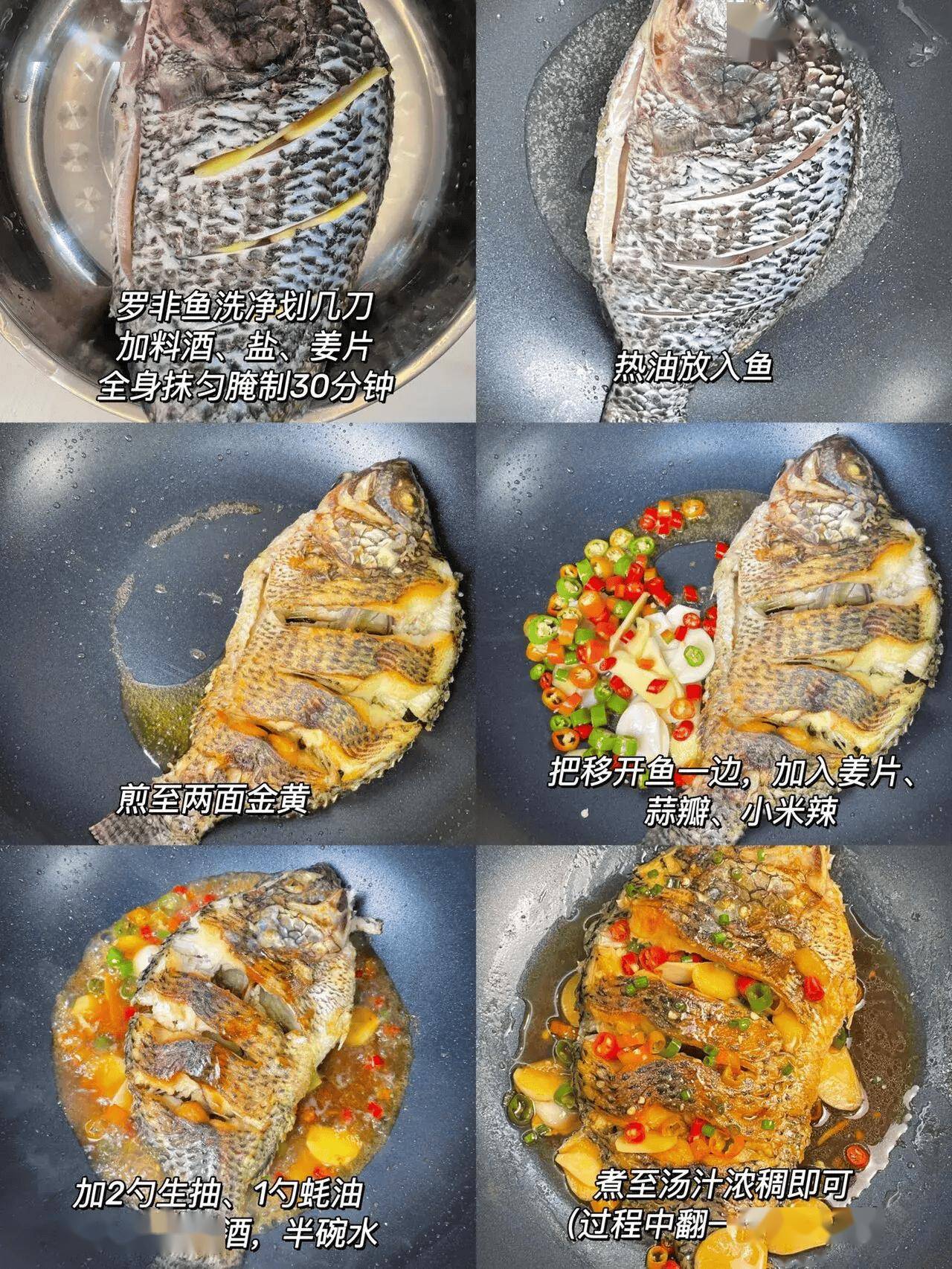 钓友_美味_罗非鱼