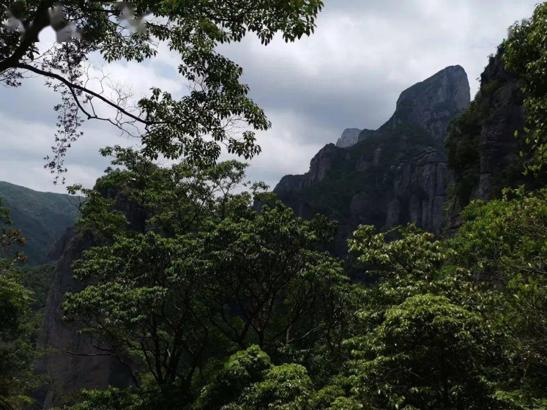 【云溪山人游记】雁山桐花开(一)灵岩_莲花洞_谷口_旅游