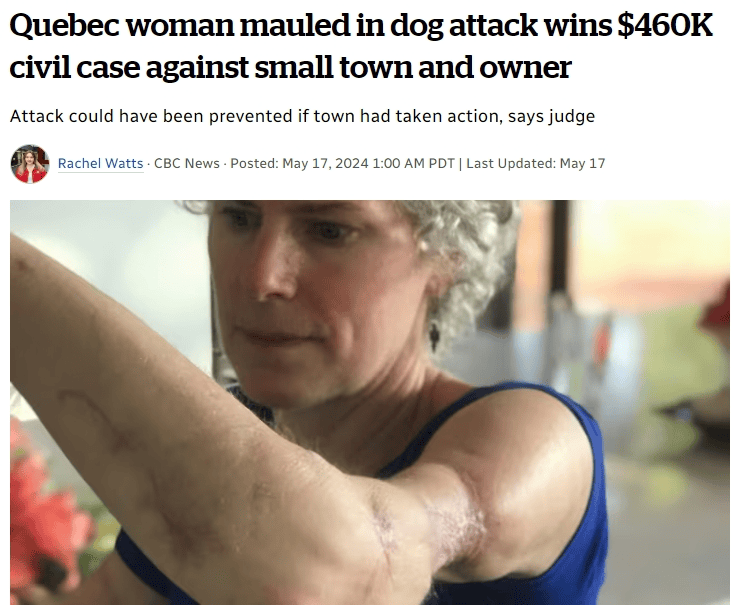 狗主人被判刑,小镇也得负责_多米尼克·阿兰_袭击_市镇
