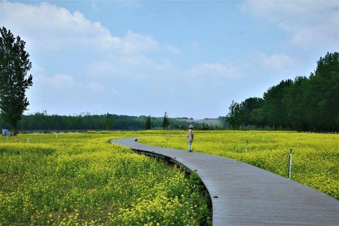 李娟:妹妹的恋爱