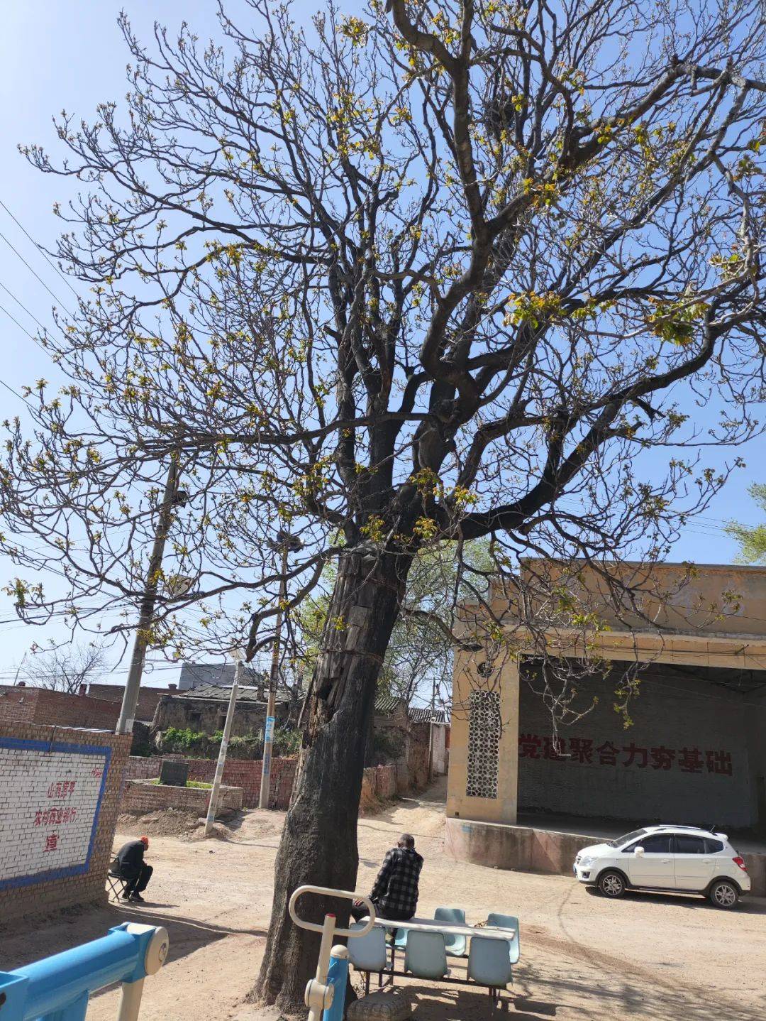 从南岗村穿街而过