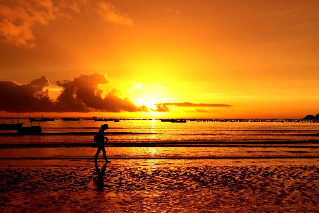 随手一拍就是壁纸!这个夏天,听说你也想来渔寮看海?