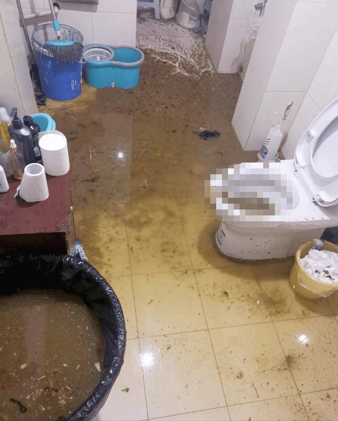 小区楼房一般使用公共下水道,一楼独立下水道确保了二楼成为公共下水