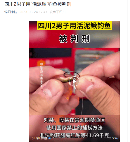 温塘钓友注意:2男子用泥鳅钓鱼被判刑!