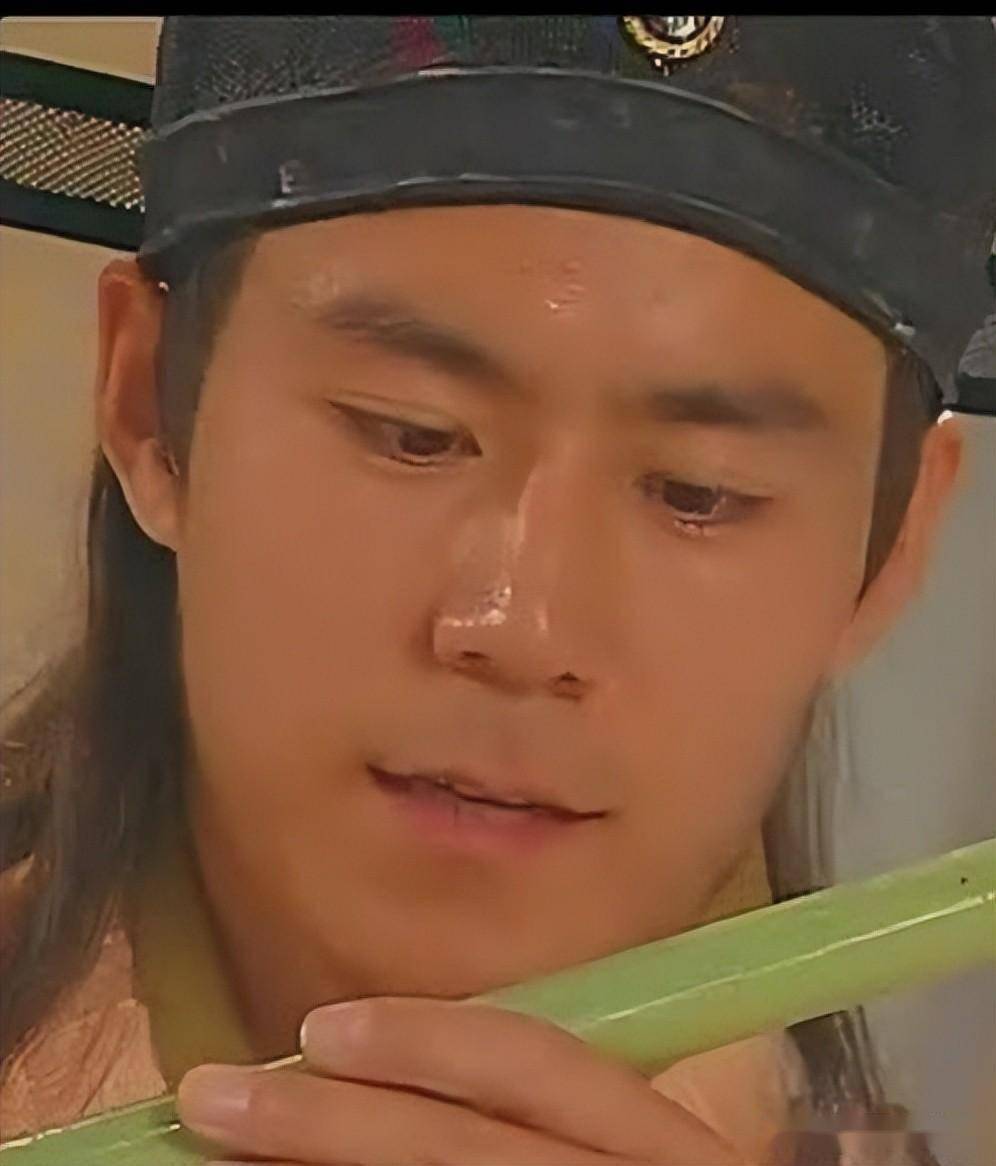 纵观现在的古装剧,现代剧,里面的老爹爹都不了得,比如《追风者》里的