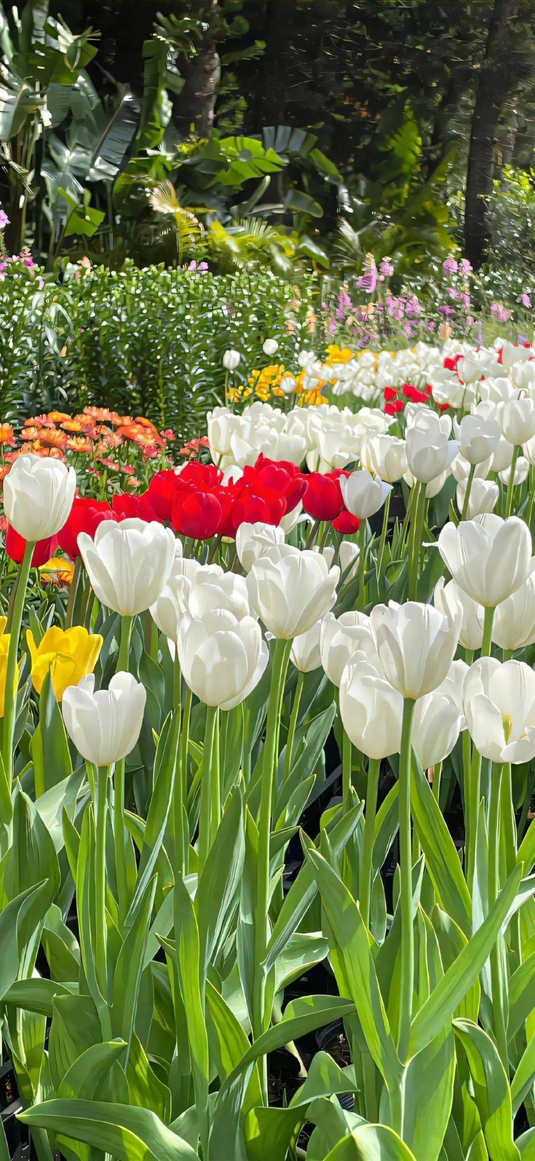 壁纸 | ins高级质感高清全屏壁纸