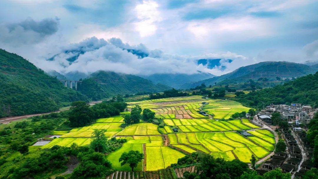 【哀牢回响】戛洒山水课--包倬_社区_槟榔园_摄影