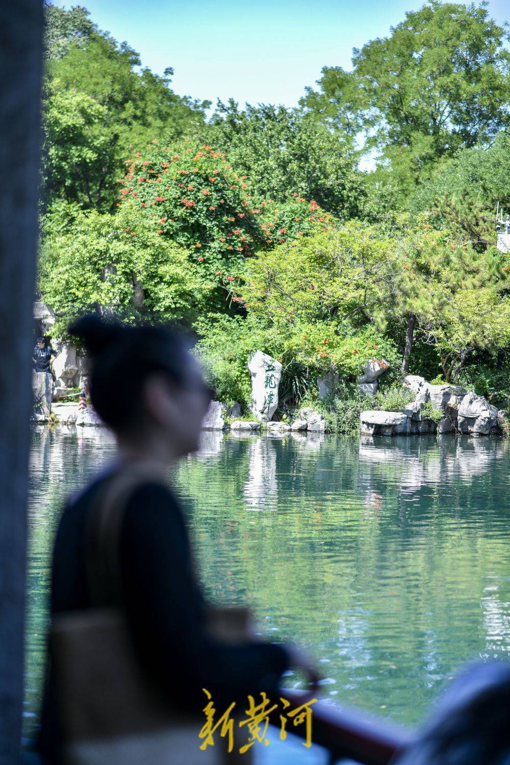 泉城迎来凉爽好天气 游客观泉亲泉感受夏日清风