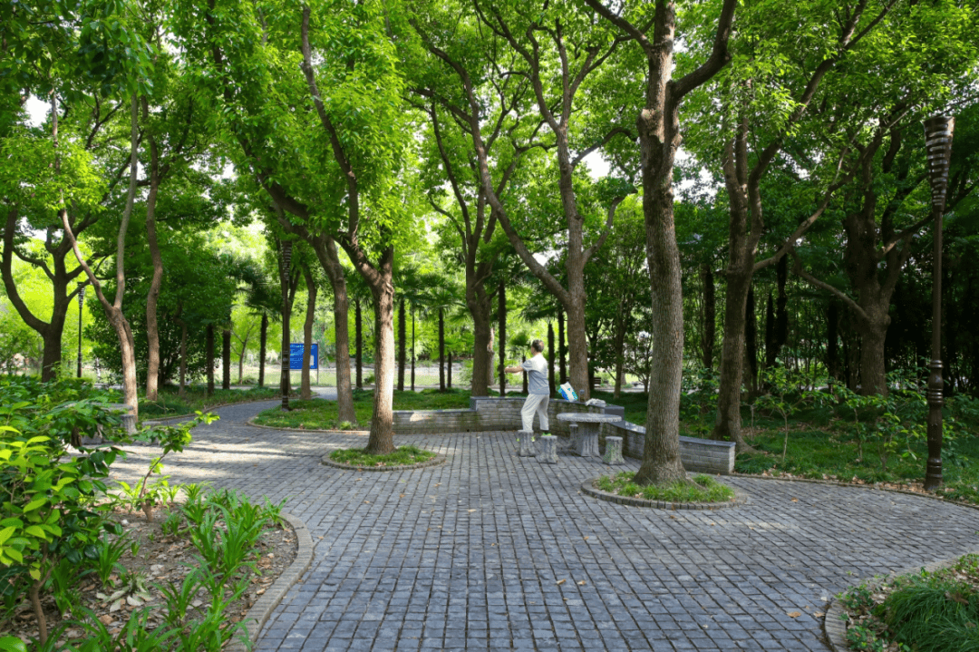 【便民信息】家门口逛公园丨今天我们去思贤公园_新桥_松江_初夏