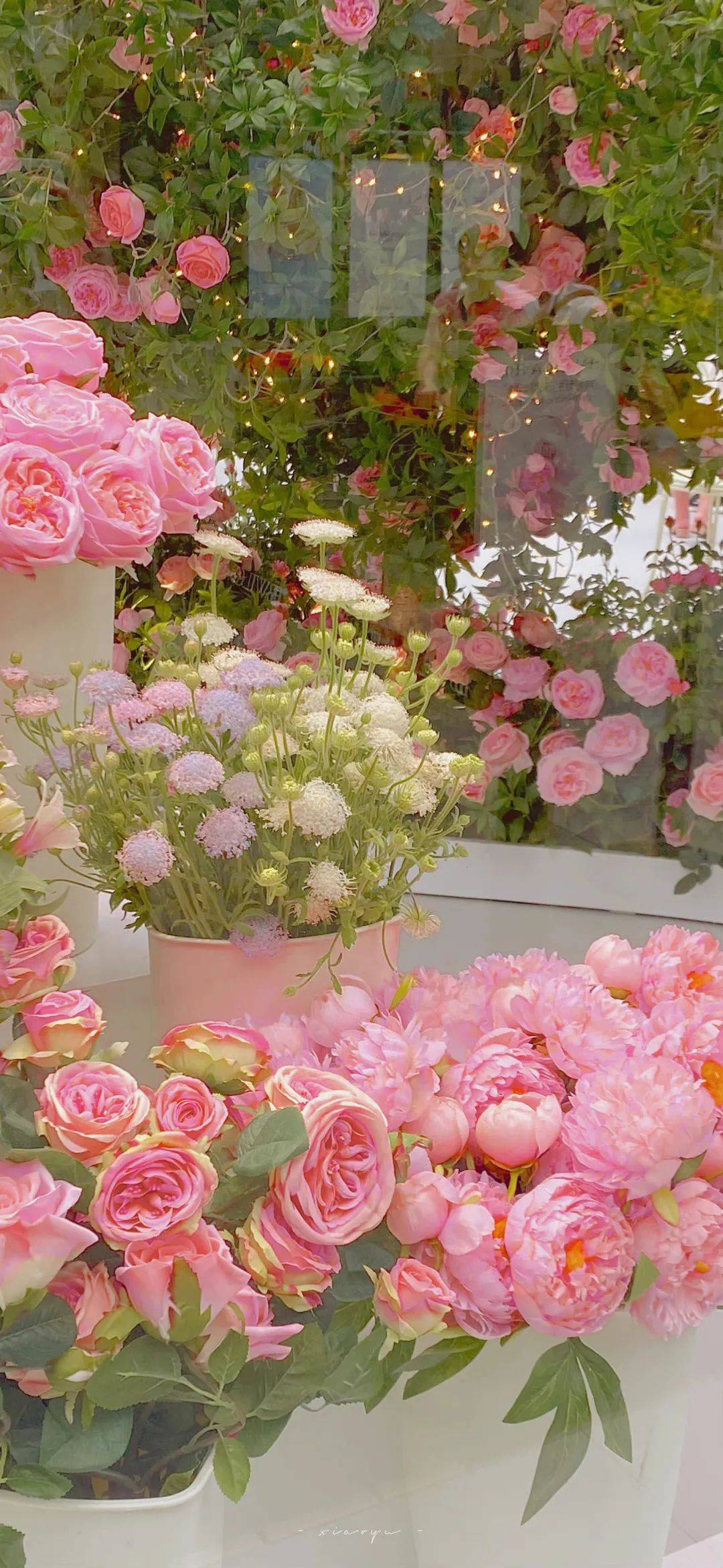 ·手机壁纸·4k景深全面屏～