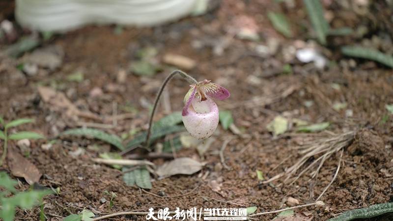 版面速览|5月27日贵州日报《生态》新闻版