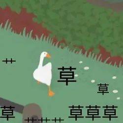 污污贱贱无敌好用的表情包