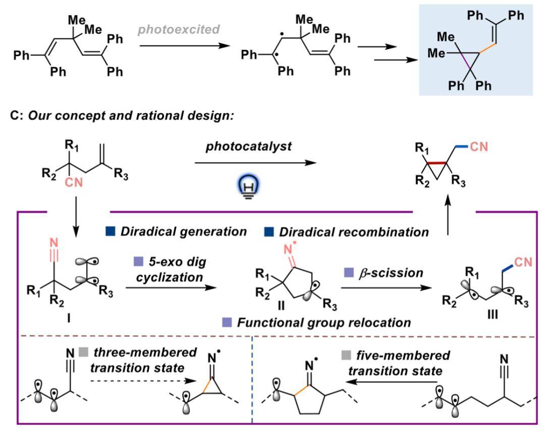 上海科技大学黄焕明团队:"舞动" 的氰基