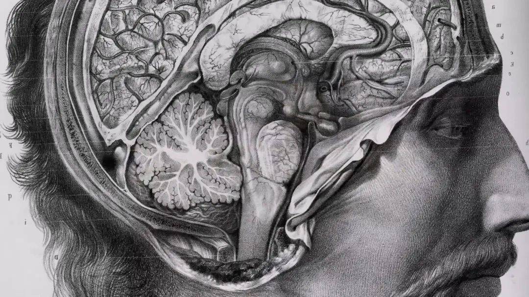 《良医》紧跟它的步伐,也在前两日播出了大结局.