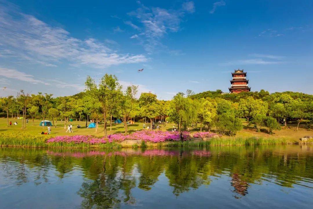 爱上张家港的理由,哪一个让你心动?