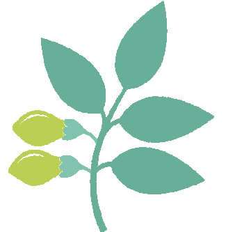 健康的河也是美丽的河分段造景,围绕巩固黑臭水体治理成效和消除劣Ⅴ