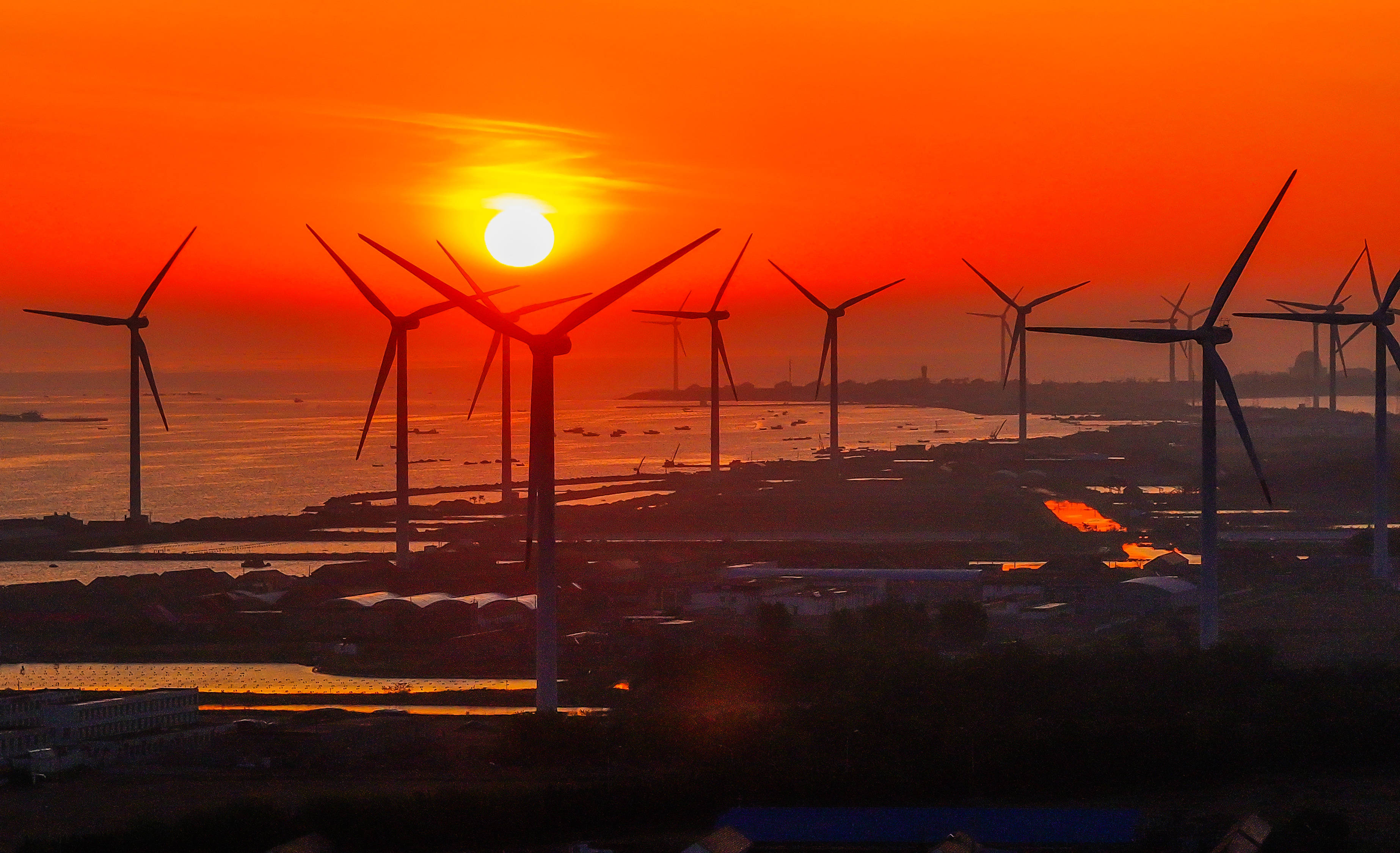 2024年5月27日,在山东省荣成市石岛管理区桑沟湾国家级海洋牧场