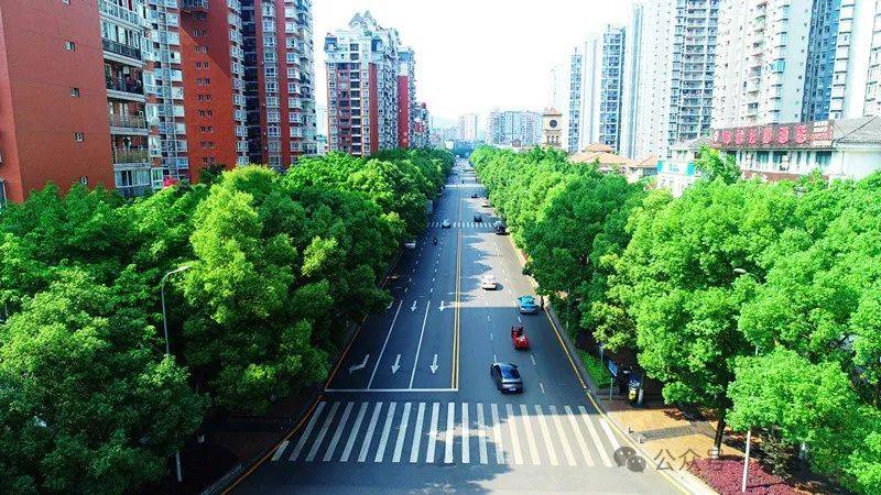 重庆最美,万盛 4!