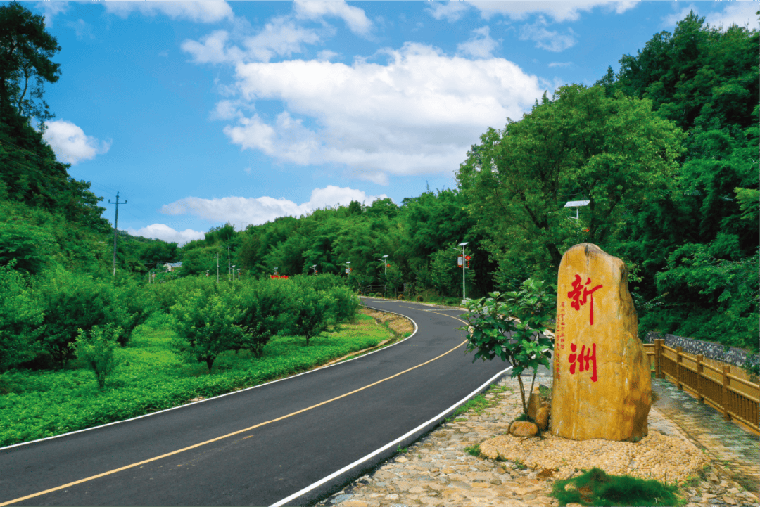 广东八成以上建制村通双车道公路!_建设_发展_农村