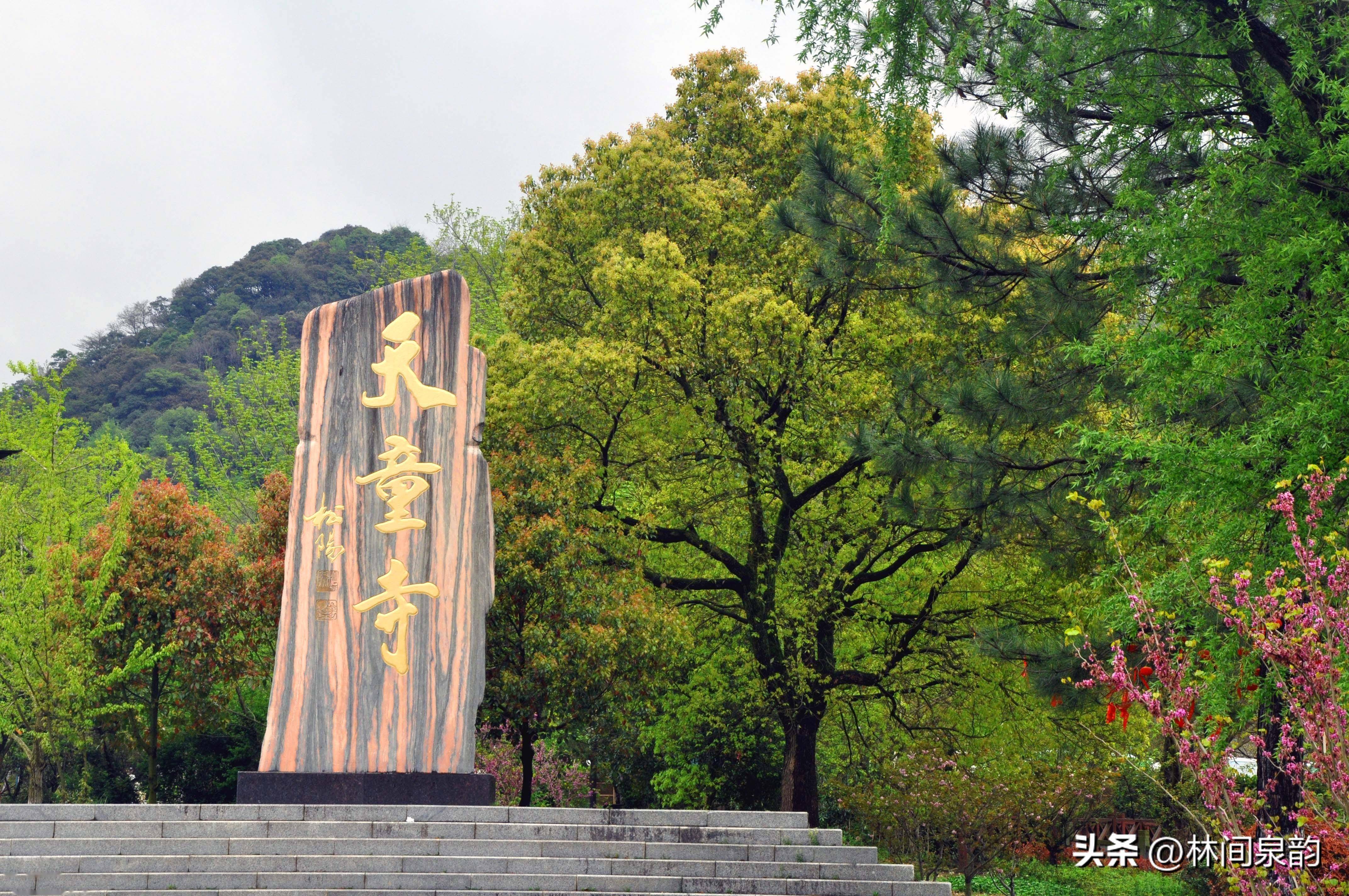 天童寺"群山峰抱一寺,一寺镇群山峰",美丽传说流传了1700多年