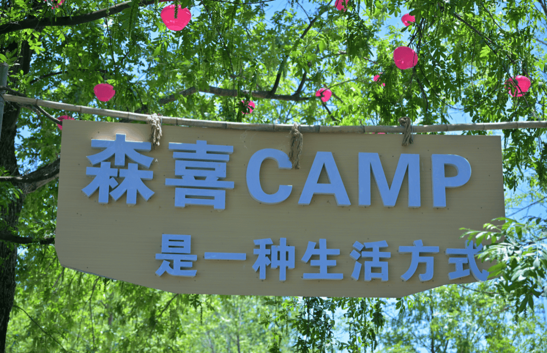 六一庐江童趣游 | 到万山,"趣"露营