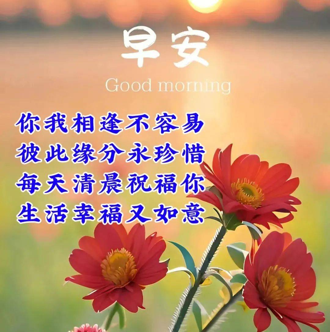 漂亮图片表情包大全,大吉大利,万事顺心!