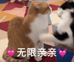 好玩的阴阳表情包!