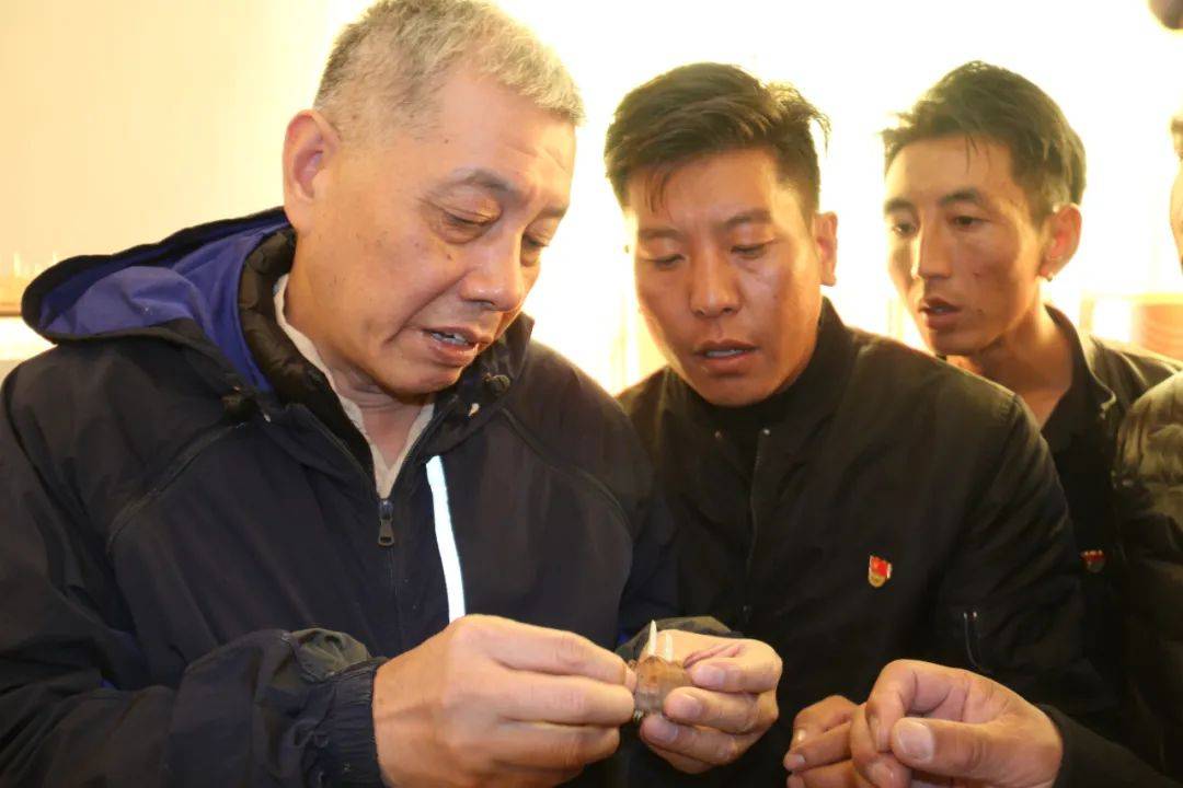 2022年,杭州市开始在理塘县引种藏红花.