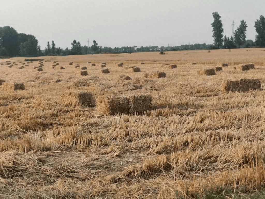 秸秆回收再利用 "变废为宝"促增收_农业_宣传_信阳