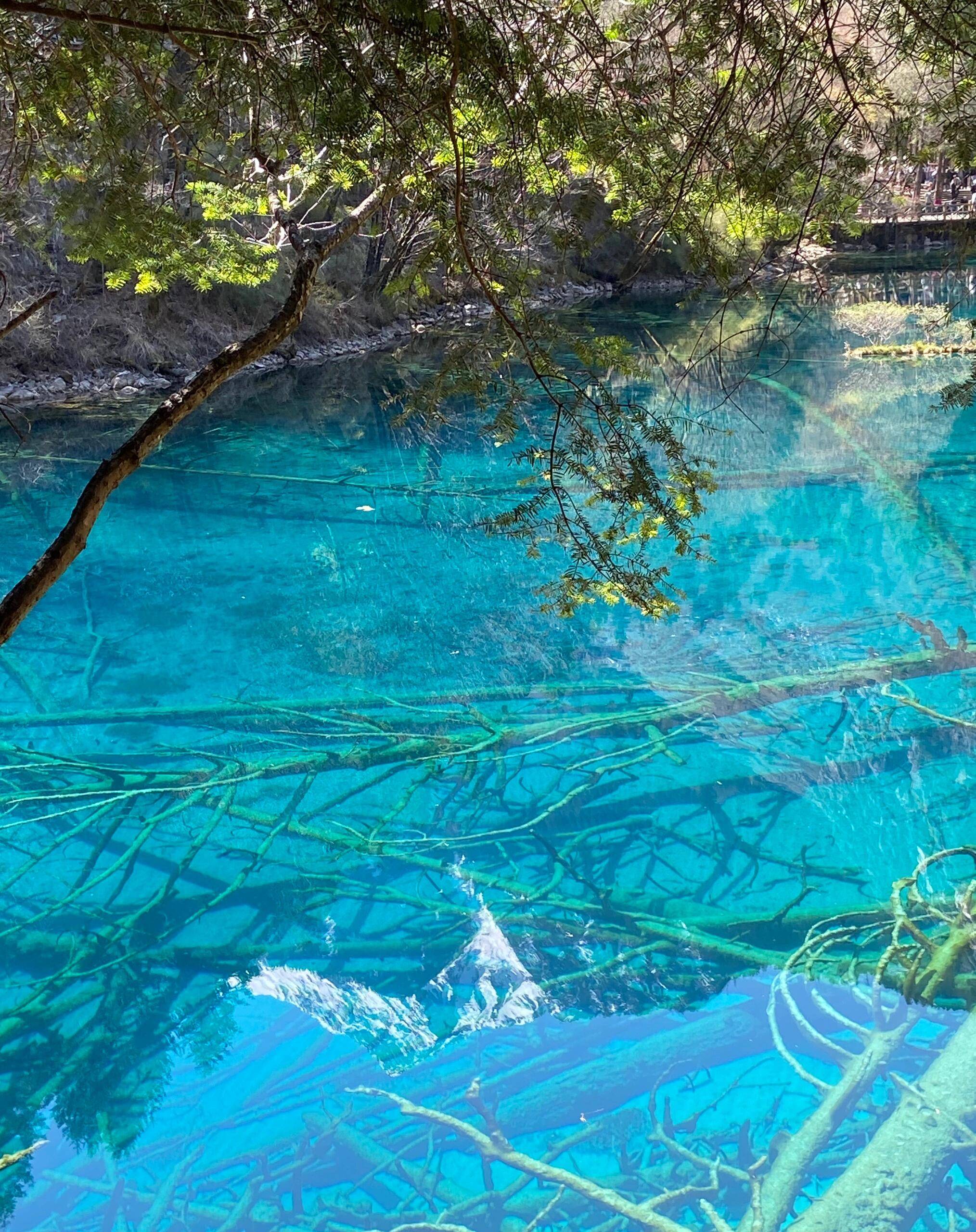 安排一天时间游览九寨沟的翠湖,诺日朗瀑布,长海等景点.
