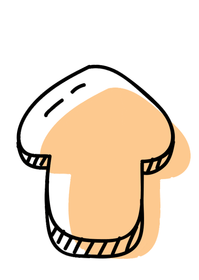 最新!嘉兴市本级2024年义务教育阶段学校阳光招生工作的指导意见