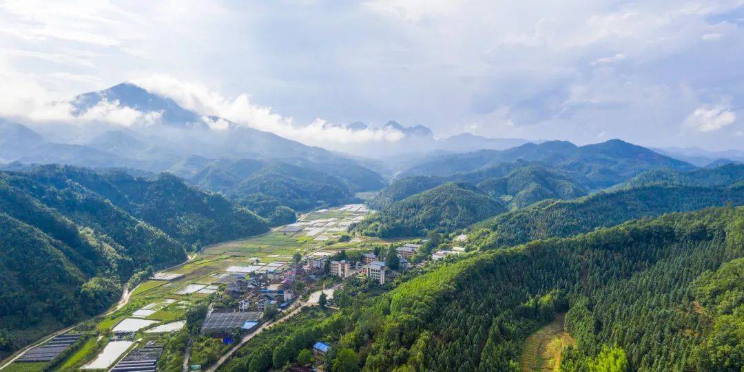 洋林精神 | 破庙里安家的"方丈"场长_洋口_树莲_领导