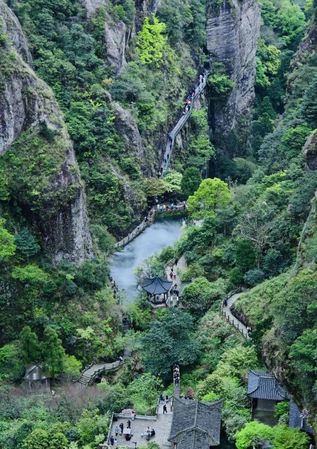 仙居杨梅季丨6月11-15号,浙江雁荡山,仙居,温岭,台州落地自驾之旅