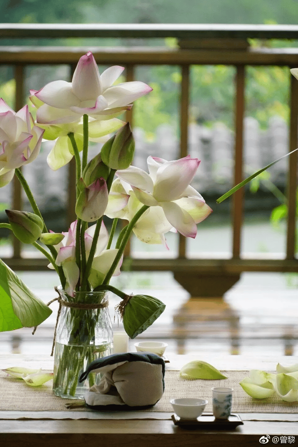 曾黎的佛系人生:因导演一句话坚持吃素18年,人到中年这颜值太惊艳了