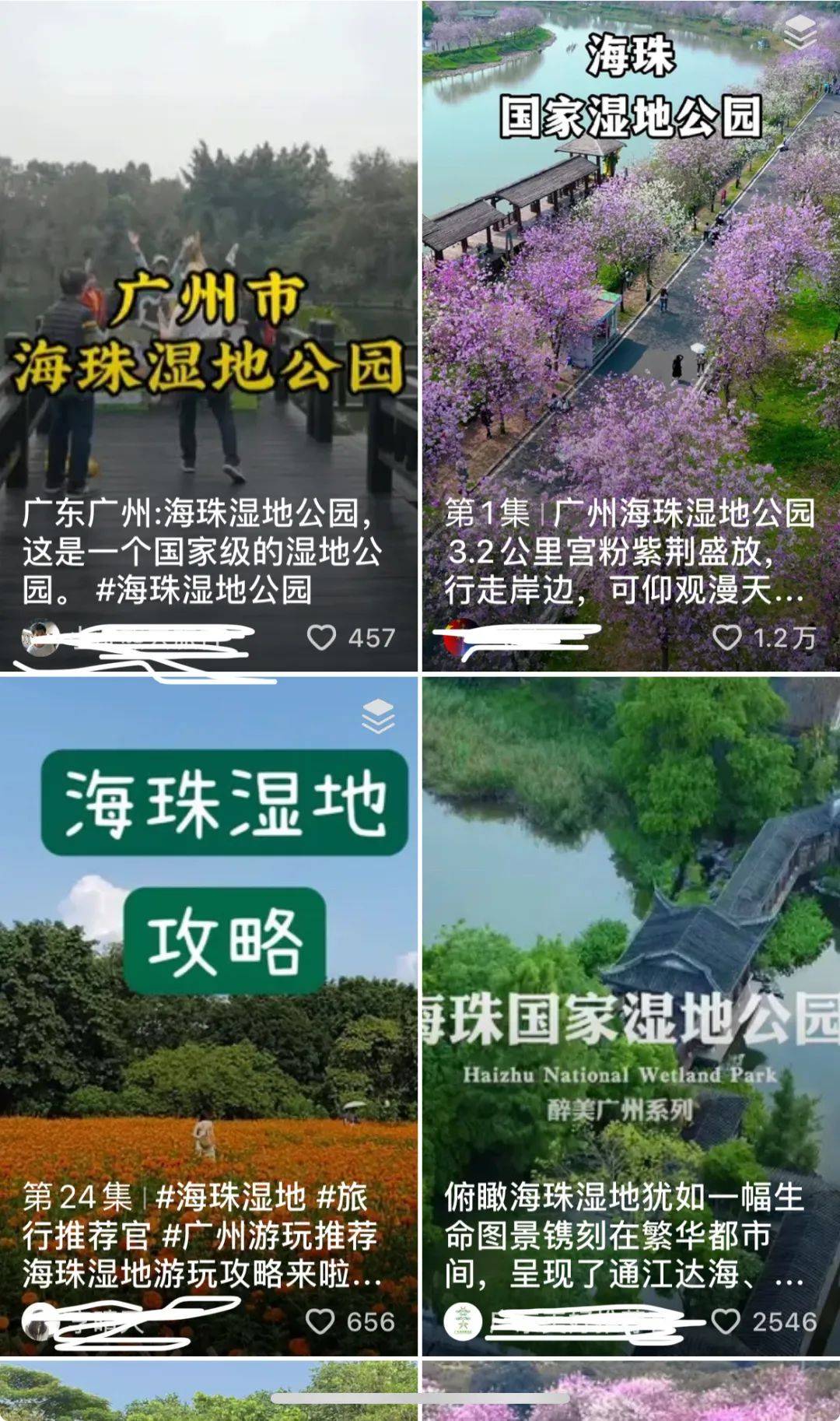 定了!这个周末锁定海珠湿地,精彩活动和大奖等着你