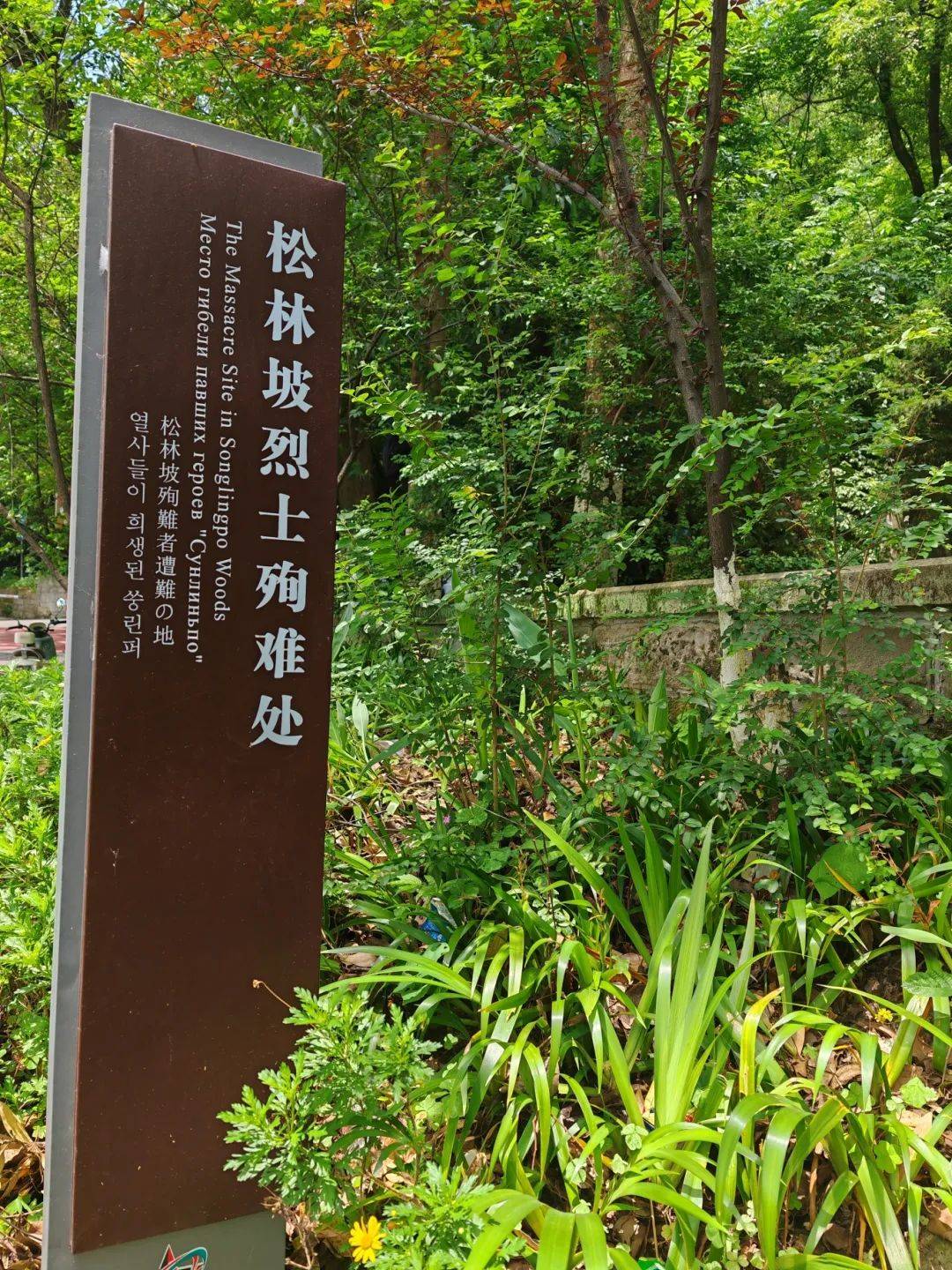 松林坡烈士殉难处,殉难者纪念碑我仔细寻找,终于在最后一位烈士介绍的