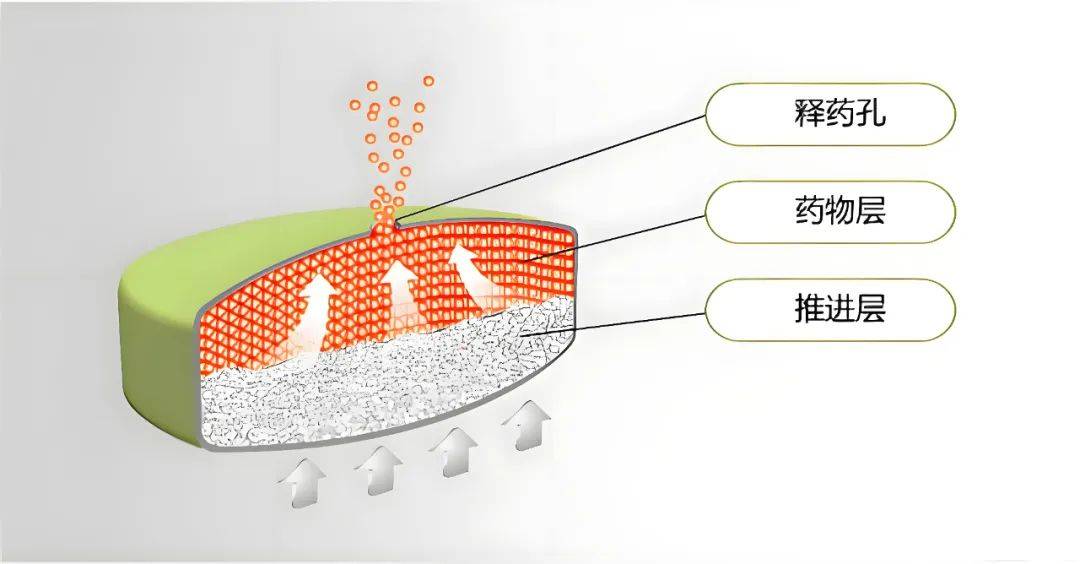 非诺贝特药理机制图片