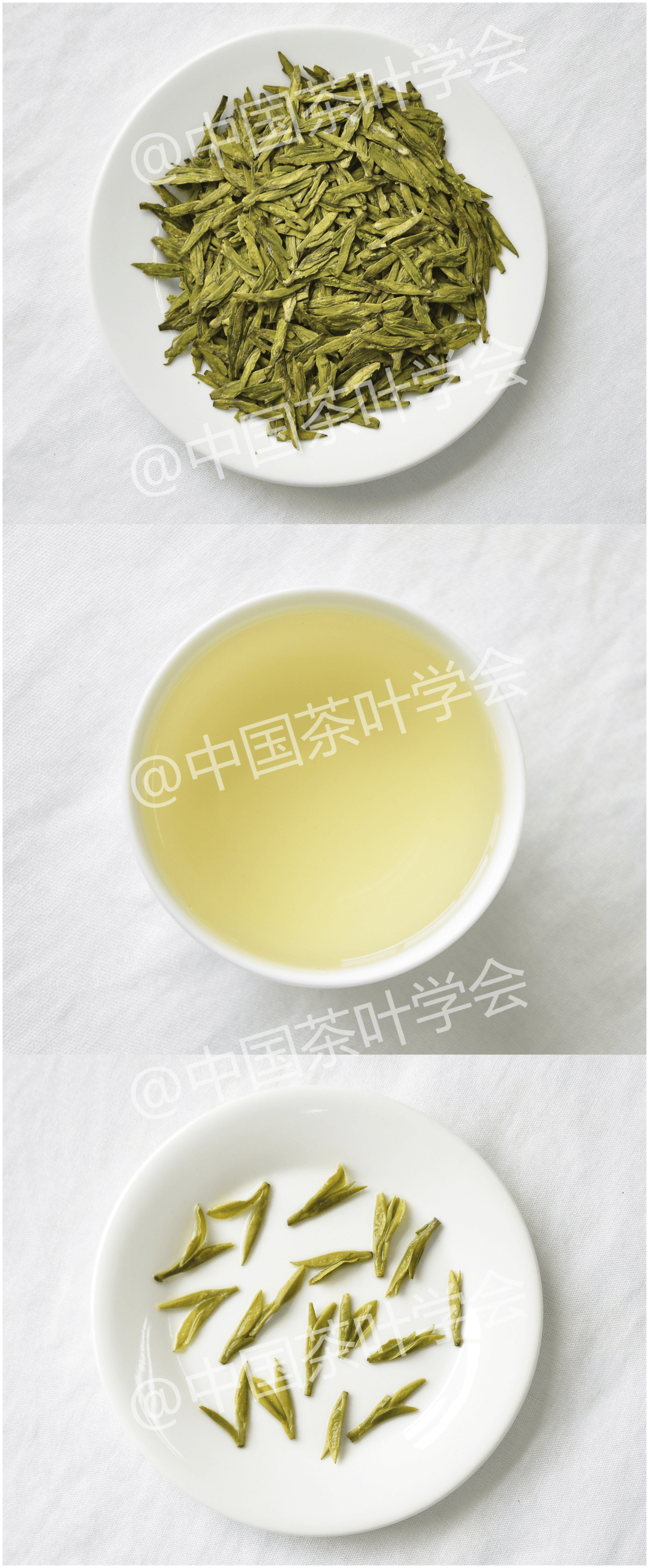 每周识茶:扁平形绿茶的品质特征_茶叶_黄化_外形