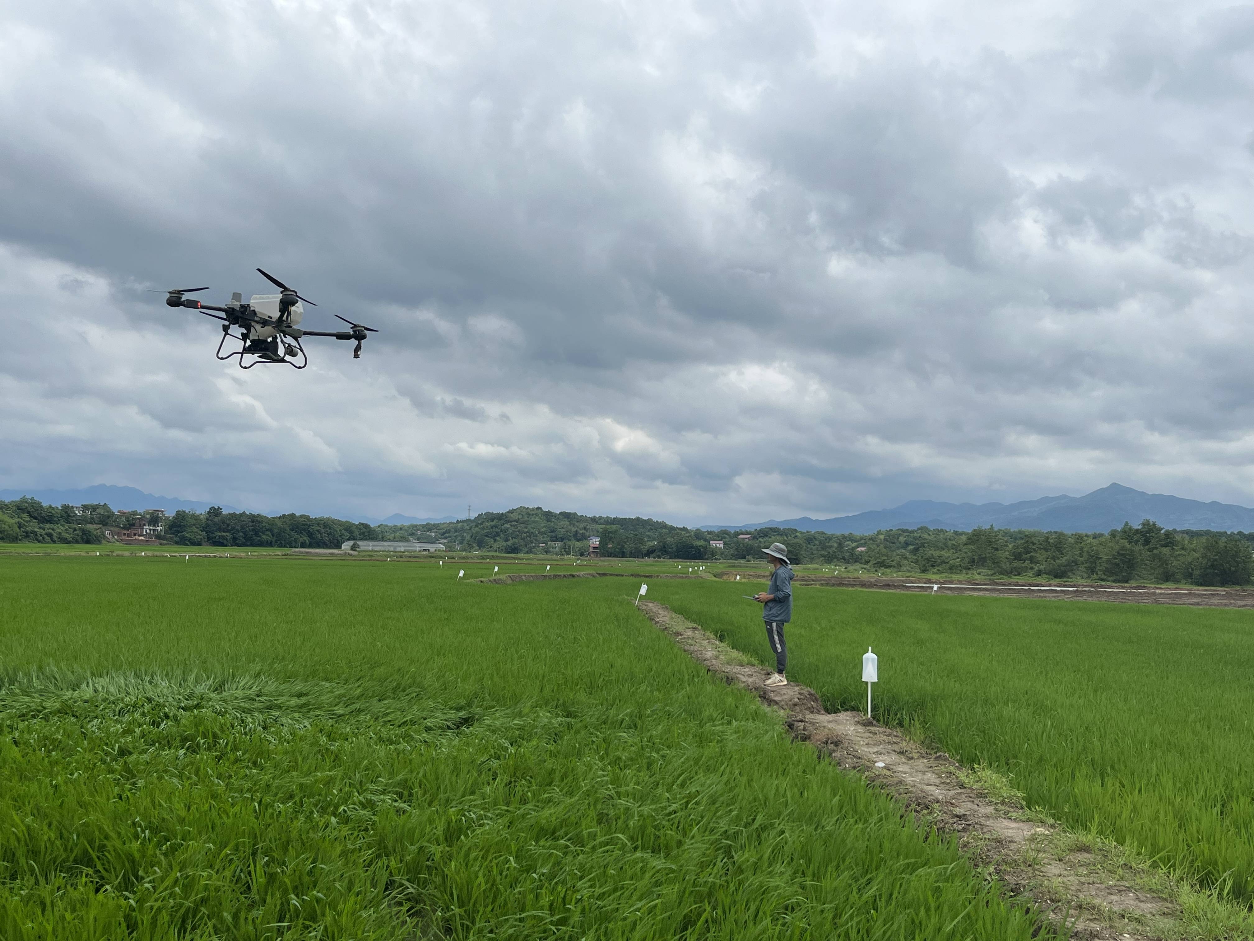 东安县鹿马桥镇:无人机"上岗"施肥忙