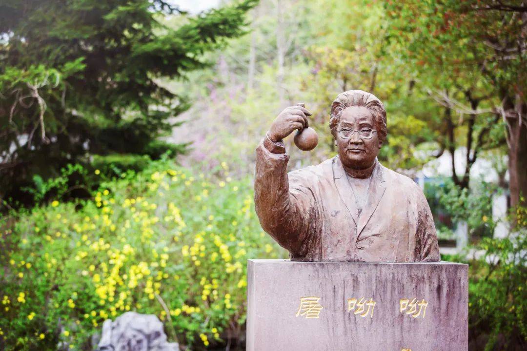 招聘信息 | 宁波效实中学面向全国招贤纳士