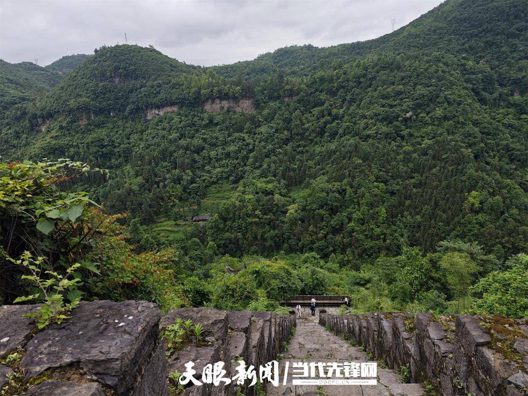 打卡遵义海龙屯!台湾青年:"它是我们中华民族历史重要的一部分"