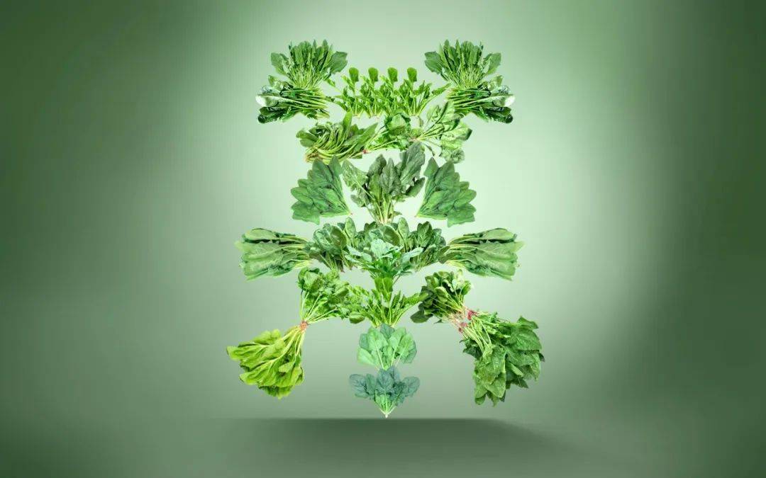 自由命题-今日命题,是自由命题大家可自由设计一个字,一组词,一句话均