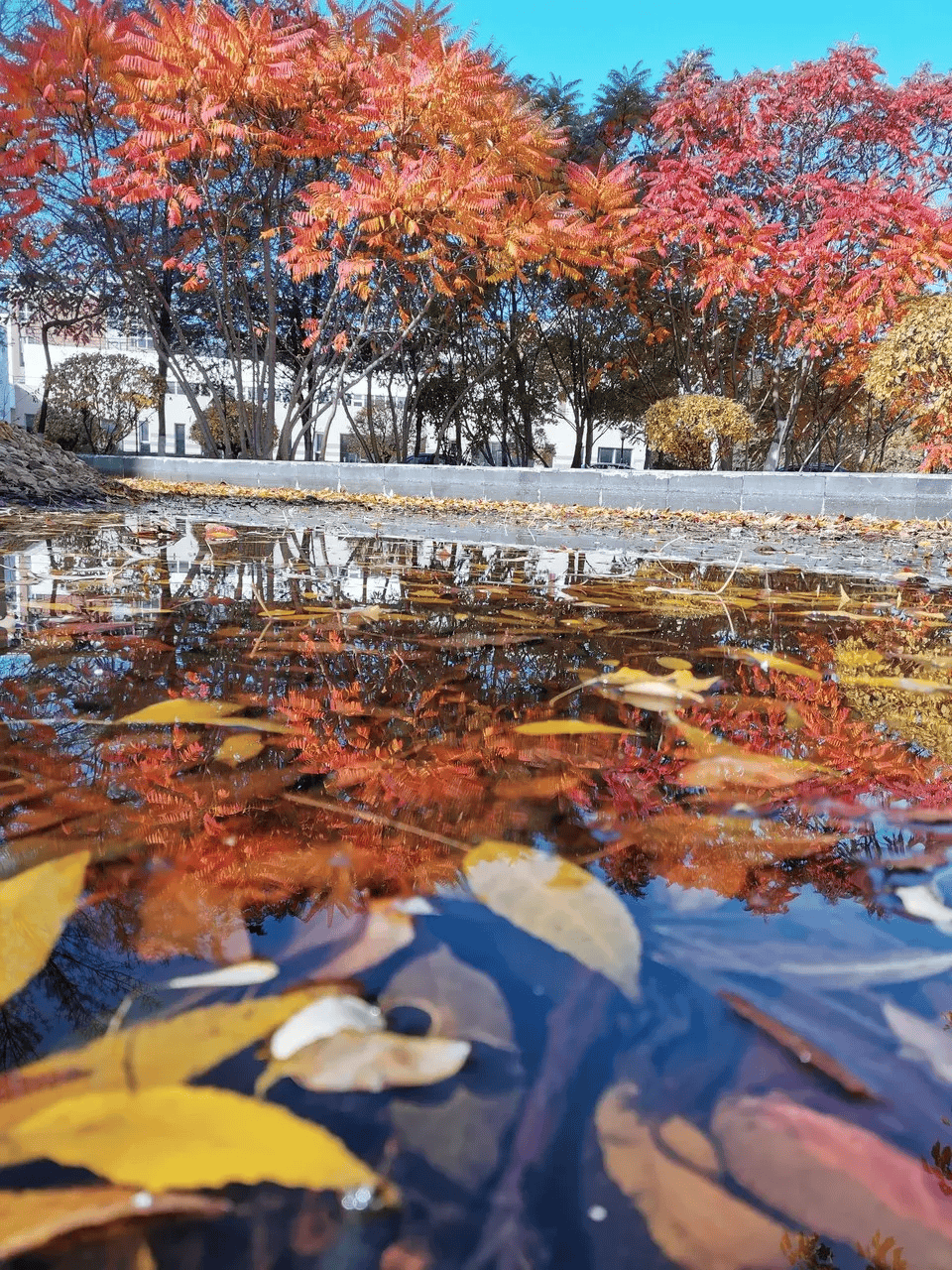 全国最"憋屈"的城市:10元60个菜随便吃!物价天花板比成都松弛