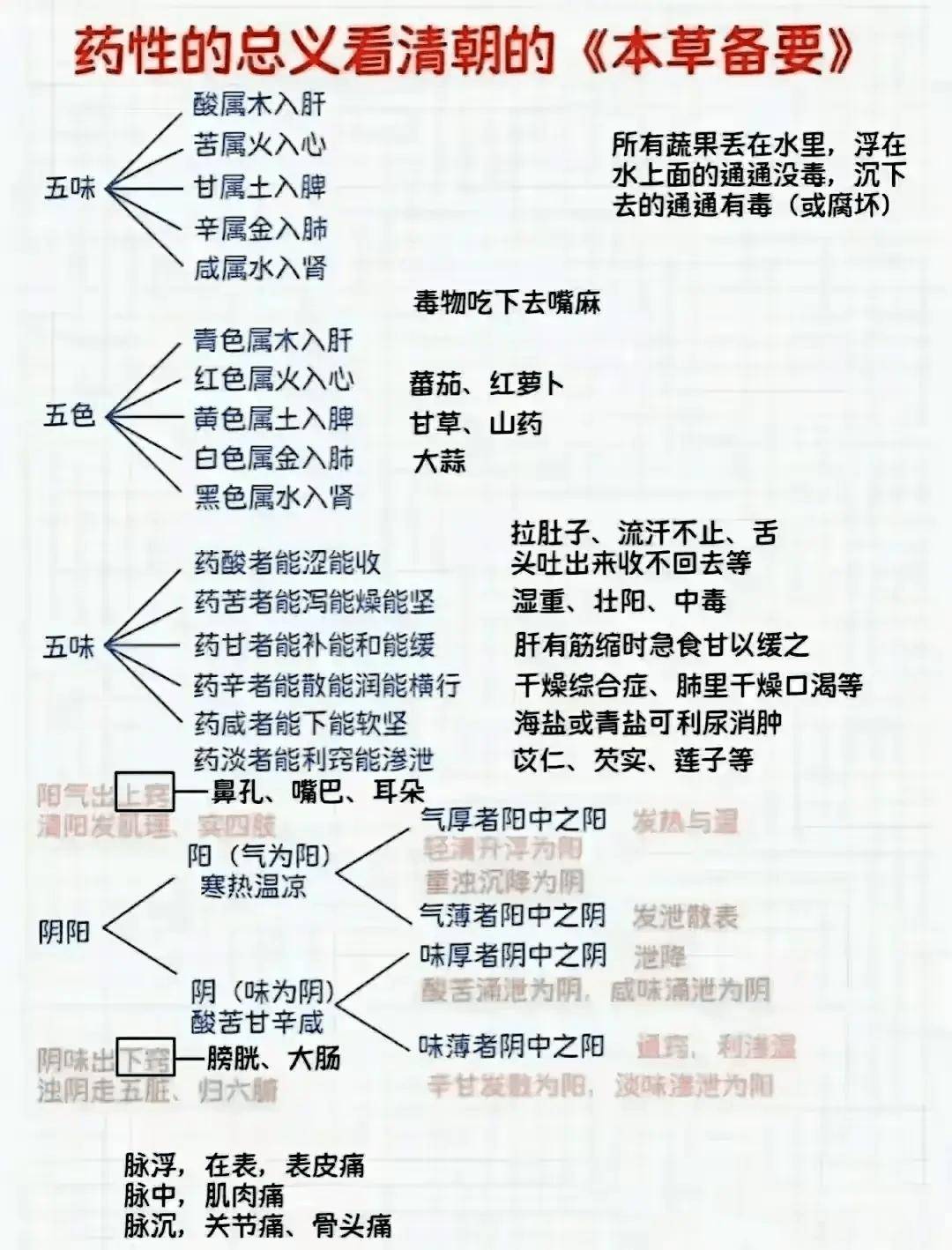 倪海厦耗尽心血,整理出的中医基础理论表,收藏起来一起学习吧!