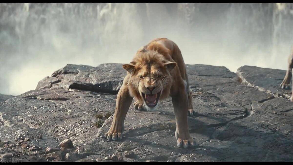 电影《 狮子王:木法沙传奇》深度解析