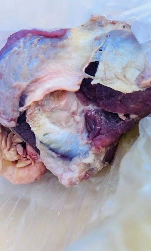 云南︱网传一展销会上商家售卖"假牛肉",博主揭穿后被摔相机?当地回应