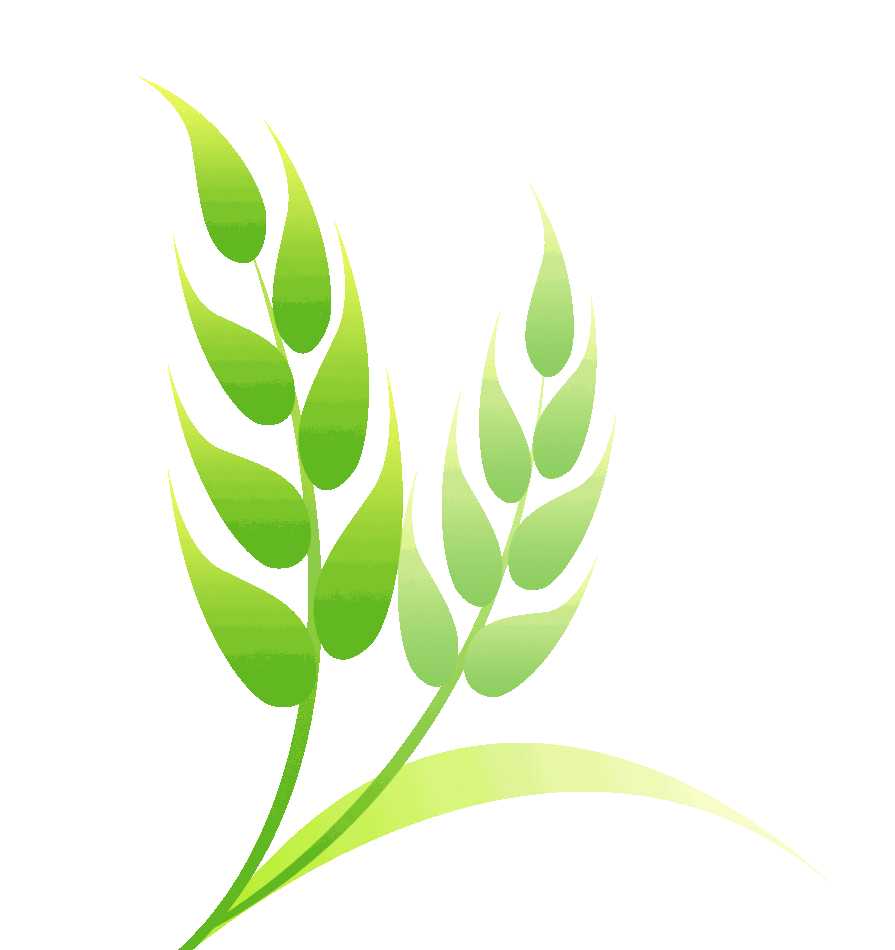 西安一恶势力集团夜间碰瓷"酒驾司机!犯罪33起!涉案金额57万!